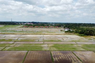(593 Depa, Lot Hujung, Tepi Tali Air) Tanah Padi, Kg Dendang, Ketereh, Kelantan