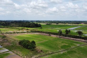 (593 Depa, Lot Hujung, Tepi Tali Air) Tanah Padi, Kg Dendang, Ketereh, Kelantan