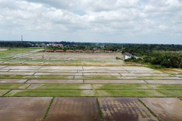 (593 Depa, Lot Hujung, Tepi Tali Air) Tanah Padi, Kg Dendang, Ketereh, Kelantan