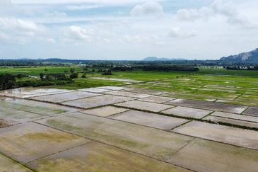 (593 Depa, Lot Hujung, Tepi Tali Air) Tanah Padi, Kg Dendang, Ketereh, Kelantan