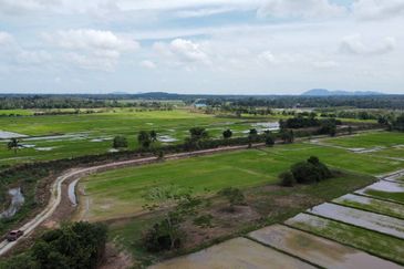 (593 Depa, Lot Hujung, Tepi Tali Air) Tanah Padi, Kg Dendang, Ketereh, Kelantan