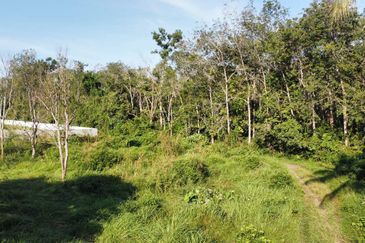 (17,100 KP, Geran Individu, Dkt Masjid Tengku Aziza) Tanah Kediaman,Melor, Kelantan
