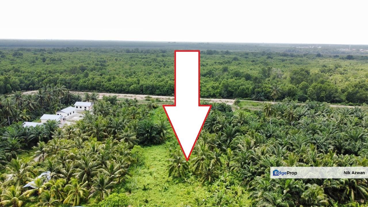  (Non Bumi, Tanah Rata, Depan Tali Air) Tanah Pertanian 2 Ekar di Kg Baru Telok Gong, Port Klang, Selangor, Port Klang