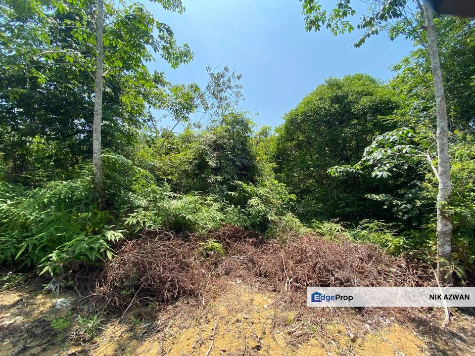 (Freehold, Non Bumi) Agriculture Land 22 Acres in Mukim Sabai, Bentong, Pahang, Pahang, Bentong