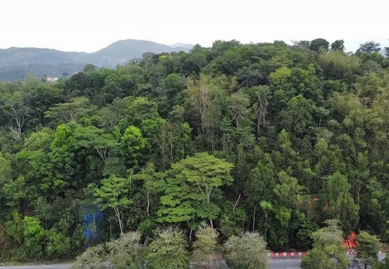 Jalan Lingkaran Tengah II 