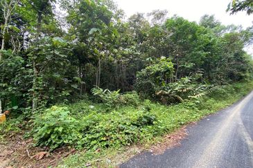 (Geran Kekal, Akses Cantik) Tanah Pertanian 2.86 Ekar di Kg Hj Palil, Sg Tekali, Hulu Langat