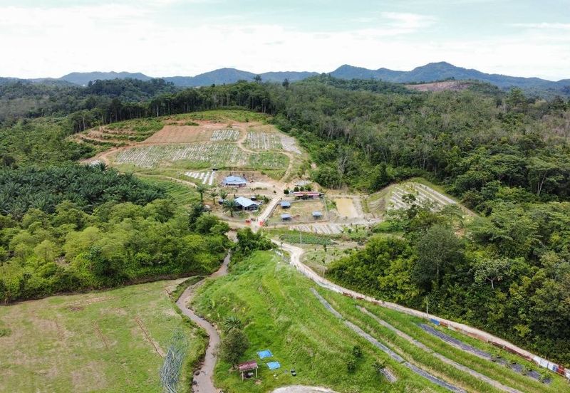  (Tanah Cantik, Anak Sungai) Tanah Pertanian 10 Ekar Ampang Pechah, Kuala Kubu Bharu