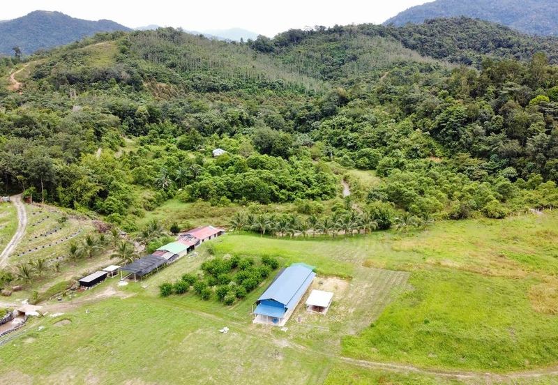  (Tanah Cantik, Anak Sungai) Tanah Pertanian 10 Ekar Ampang Pechah, Kuala Kubu Bharu