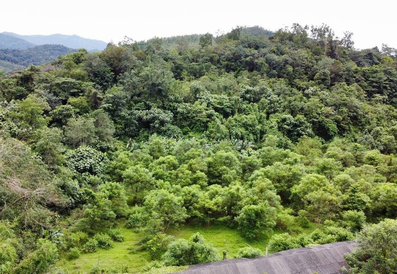  (Tanah Cantik, Anak Sungai) Tanah Pertanian 10 Ekar Ampang Pechah, Kuala Kubu Bharu