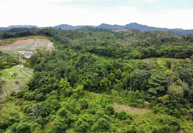  (Tanah Cantik, Anak Sungai) Tanah Pertanian 10 Ekar Ampang Pechah, Kuala Kubu Bharu