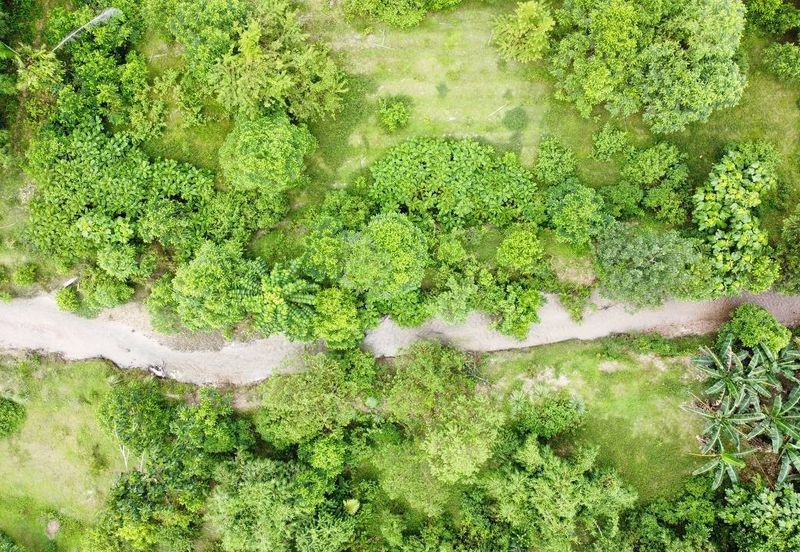  (Tanah Cantik, Anak Sungai) Tanah Pertanian 10 Ekar Ampang Pechah, Kuala Kubu Bharu