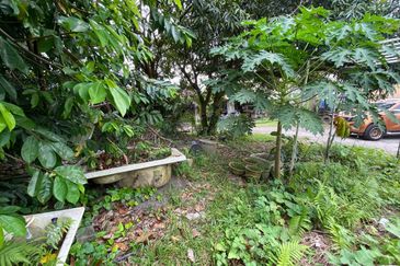 (Freehold, Non Bumi, Near Town) 0.37 Acre of Agriculture Land, Seksyen 32 Shah Alam