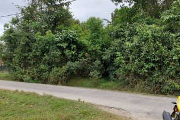 (Tanah Rata, Jalan Tar Rapat Tanoh) Tanah Pertanian 1.14 Ekar di Kg Banggol Jering, Pasir Mas, Kelantan