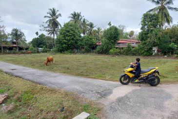 (Tanah Rata, Jalan Tar Rapat Tanoh) Tanah Pertanian 1.14 Ekar di Kg Banggol Jering, Pasir Mas, Kelantan