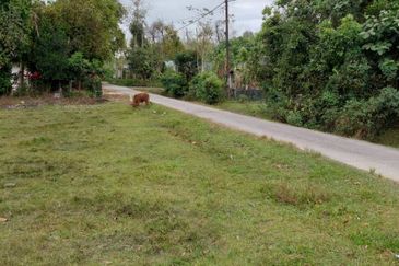 (Tanah Rata, Jalan Tar Rapat Tanoh) Tanah Pertanian 1.14 Ekar di Kg Banggol Jering, Pasir Mas, Kelantan