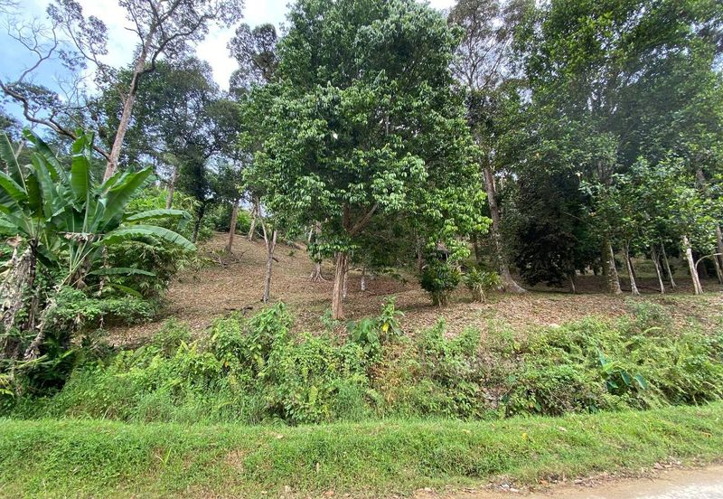 ( Freehold, Tepi Jln, Bebas Banjir) Tanah Kebun 3.9 Ekar di Jln Felcra Semungkis, Batu 14, Hulu Langat