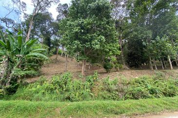 ( Freehold, Tepi Jln, Bebas Banjir) Tanah Kebun 3.9 Ekar di Jln Felcra Semungkis, Batu 14, Hulu Langat