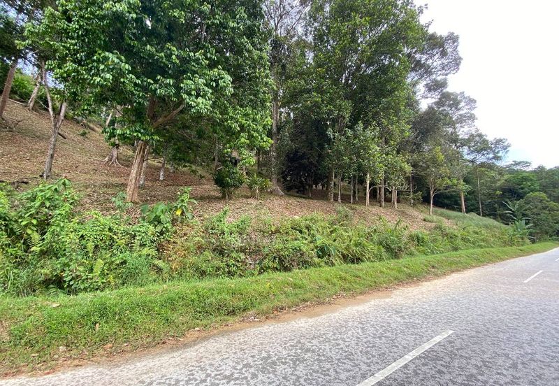 ( Freehold, Tepi Jln, Bebas Banjir) Tanah Kebun 3.9 Ekar di Jln Felcra Semungkis, Batu 14, Hulu Langat