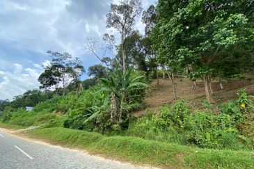 ( Freehold, Tepi Jln, Bebas Banjir) Tanah Kebun 3.9 Ekar di Jln Felcra Semungkis, Batu 14, Hulu Langat