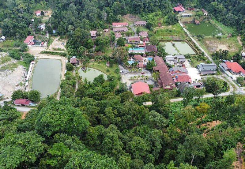 ( Freehold, Tepi Jln, Bebas Banjir) Tanah Kebun 3.9 Ekar di Jln Felcra Semungkis, Batu 14, Hulu Langat
