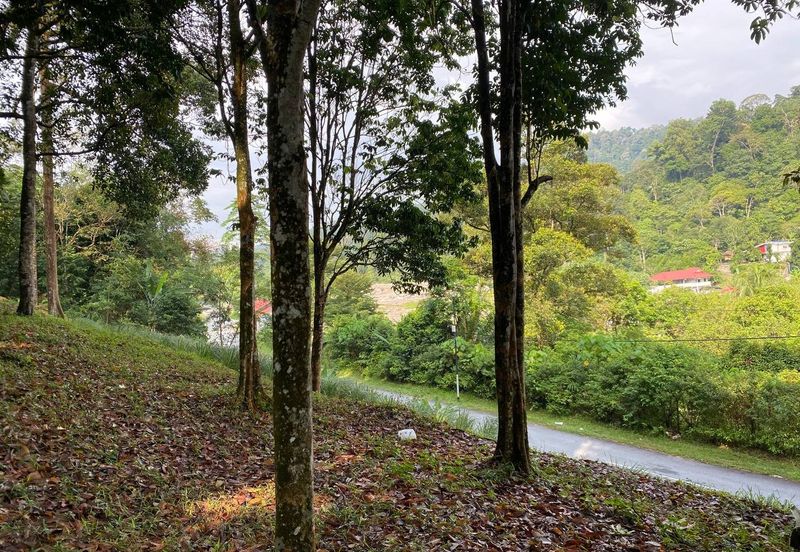 ( Freehold, Tepi Jln, Bebas Banjir) Tanah Kebun 3.9 Ekar di Jln Felcra Semungkis, Batu 14, Hulu Langat