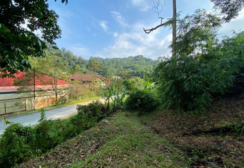 ( Freehold, Tepi Jln, Bebas Banjir) Tanah Kebun 3.9 Ekar di Jln Felcra Semungkis, Batu 14, Hulu Langat