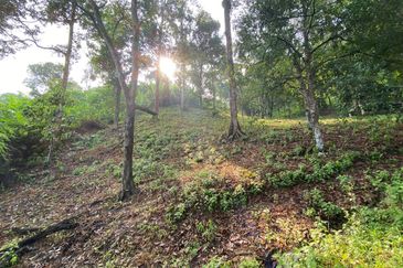 ( Freehold, Tepi Jln, Bebas Banjir) Tanah Kebun 3.9 Ekar di Jln Felcra Semungkis, Batu 14, Hulu Langat