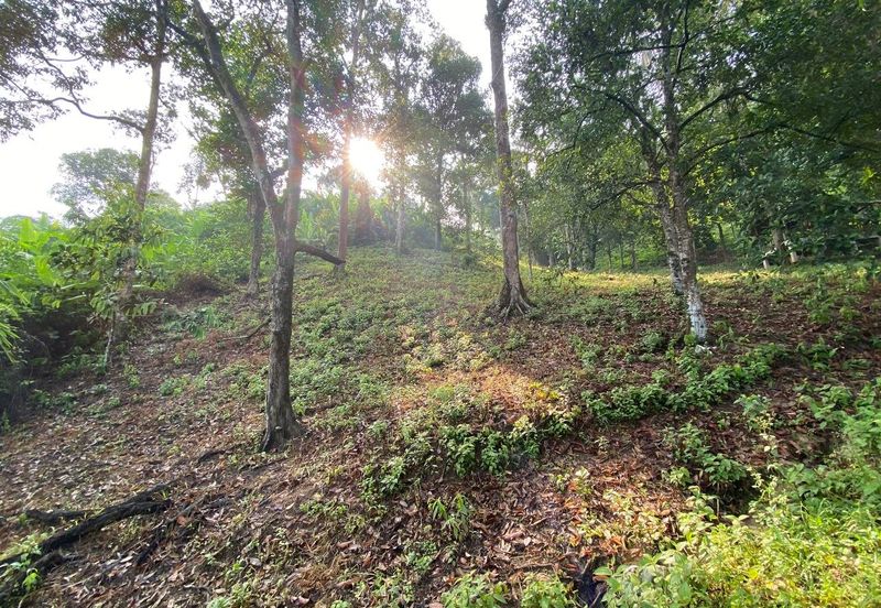 ( Freehold, Tepi Jln, Bebas Banjir) Tanah Kebun 3.9 Ekar di Jln Felcra Semungkis, Batu 14, Hulu Langat