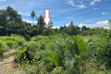 (7836 KP, 6km ke Airport) Tanah Pertanian, Kg Kemumin, Kota Bharu