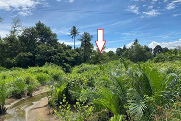 (7836 KP, 6km ke Airport) Tanah Pertanian, Kg Kemumin, Kota Bharu