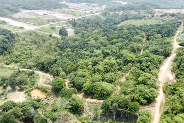  (Zon Kediaman, Ada Anak Sungai) Tanah Pertanian 3.1 Ekar Kg Bukit Cherakah, Sek U15, Shah Alam