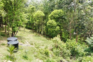  (Zon Kediaman, Ada Anak Sungai) Tanah Pertanian 3.1 Ekar Kg Bukit Cherakah, Sek U15, Shah Alam