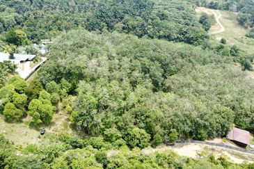  (Zon Kediaman, Ada Anak Sungai) Tanah Pertanian 3.1 Ekar Kg Bukit Cherakah, Sek U15, Shah Alam