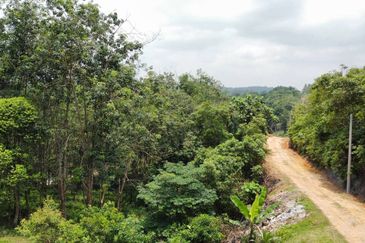  (Zon Kediaman, Ada Anak Sungai) Tanah Pertanian 3.1 Ekar Kg Bukit Cherakah, Sek U15, Shah Alam
