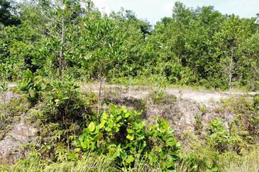 Kampung Sungai Merab Luar