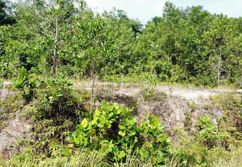 Kampung Sungai Merab Luar