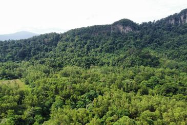 (Bersebelahan MRR2, Restoran Golek-Golek) Tanah Pertanian 2 Ekar di Kg Tengah Tambahan Gombak