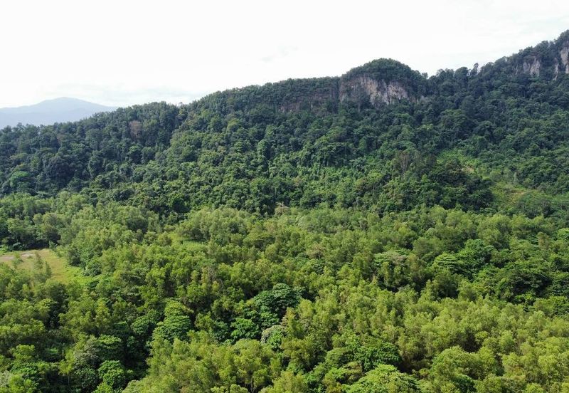 (Bersebelahan MRR2, Restoran Golek-Golek) Tanah Pertanian 2 Ekar di Kg Tengah Tambahan Gombak