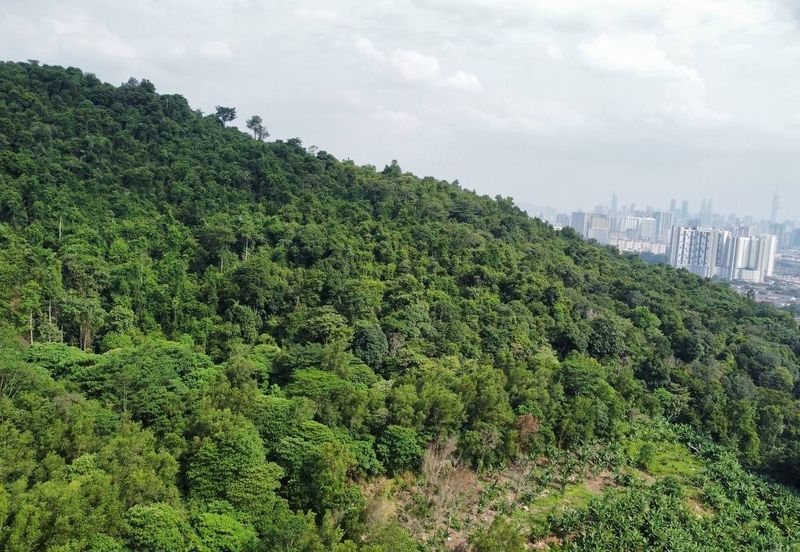 (Bersebelahan MRR2, Restoran Golek-Golek) Tanah Pertanian 2 Ekar di Kg Tengah Tambahan Gombak
