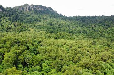 (Bersebelahan MRR2, Restoran Golek-Golek) Tanah Pertanian 2 Ekar di Kg Tengah Tambahan Gombak
