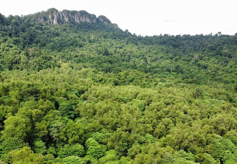 (Bersebelahan MRR2, Restoran Golek-Golek) Tanah Pertanian 2 Ekar di Kg Tengah Tambahan Gombak