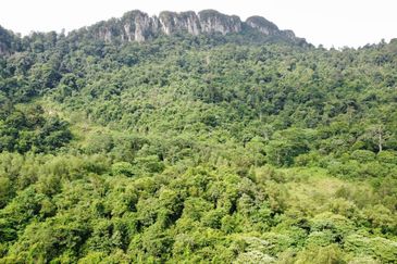 (Bersebelahan MRR2, Restoran Golek-Golek) Tanah Pertanian 2 Ekar di Kg Tengah Tambahan Gombak