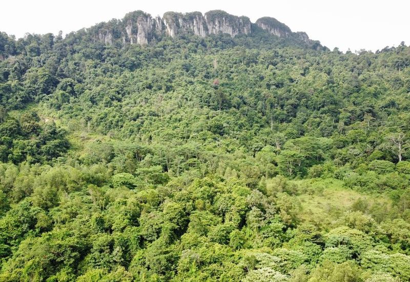 (Bersebelahan MRR2, Restoran Golek-Golek) Tanah Pertanian 2 Ekar di Kg Tengah Tambahan Gombak