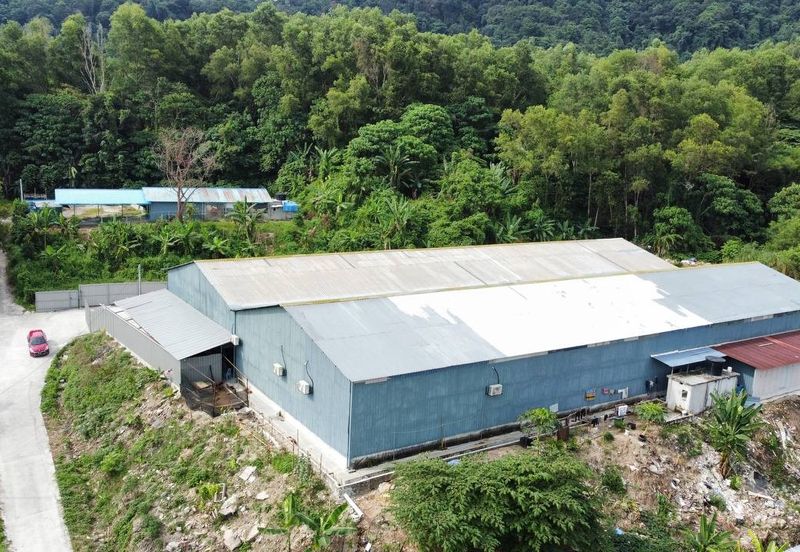 (Bersebelahan MRR2, Restoran Golek-Golek) Tanah Pertanian 2 Ekar di Kg Tengah Tambahan Gombak