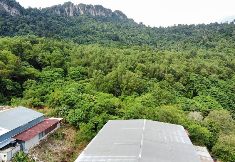 (Bersebelahan MRR2, Restoran Golek-Golek) Tanah Pertanian 2 Ekar di Kg Tengah Tambahan Gombak