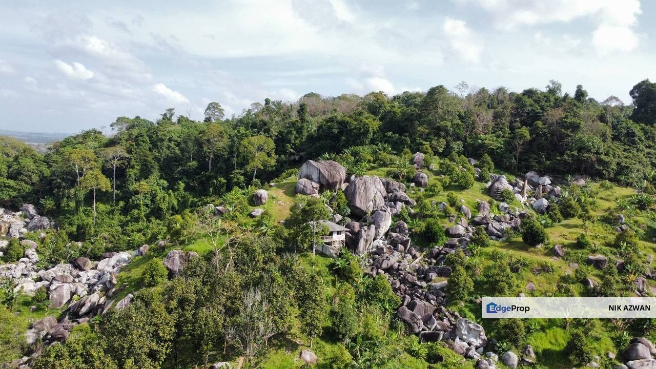 (Puncak Bukit, Bebas Banjir) Tanah Pertanian 3.7 Ekar, Kg Bukit Durian, Tanah Merah, Kelantan, Kelantan, Tanah Merah