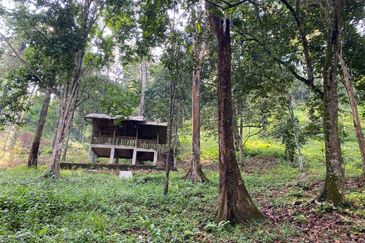  (Ada Anak Sungai, Akses Cantik) Tnh Pembangunan 7.9 Ekar, Jln Felcra Semungkis, Batu 14, Hulu Langat