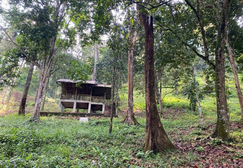  (Ada Anak Sungai, Akses Cantik) Tnh Pembangunan 7.9 Ekar, Jln Felcra Semungkis, Batu 14, Hulu Langat