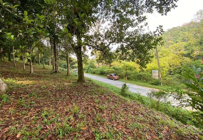  (Ada Anak Sungai, Akses Cantik) Tnh Pembangunan 7.9 Ekar, Jln Felcra Semungkis, Batu 14, Hulu Langat