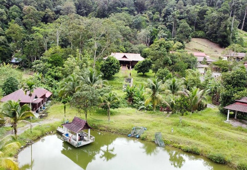  (Ada Anak Sungai, Akses Cantik) Tnh Pembangunan 7.9 Ekar, Jln Felcra Semungkis, Batu 14, Hulu Langat